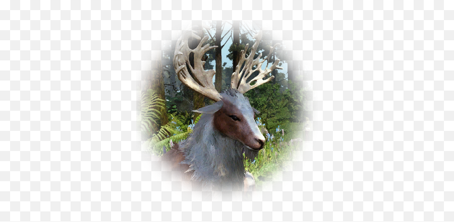 Bdo Kamasylvia Horn Deer Knowledge Database - Caribou Png,Deer Antler Icon