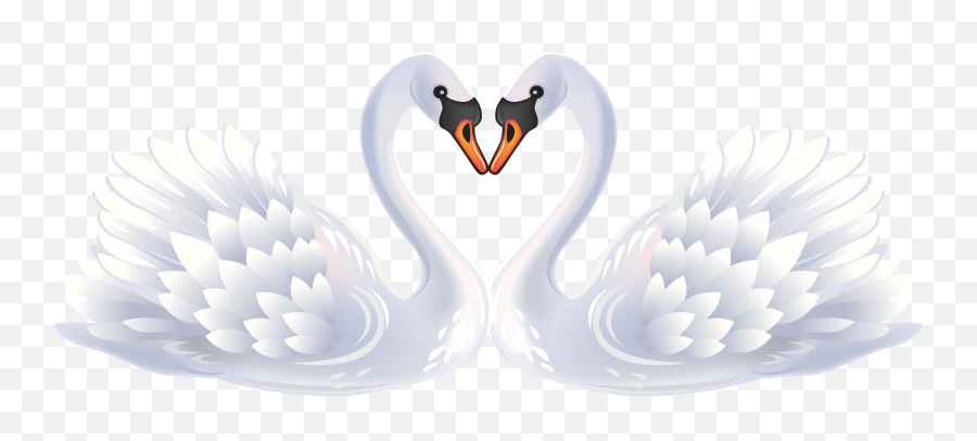 Library Of Swan Heart Jpg Black And - White Swans Png,Swan Png