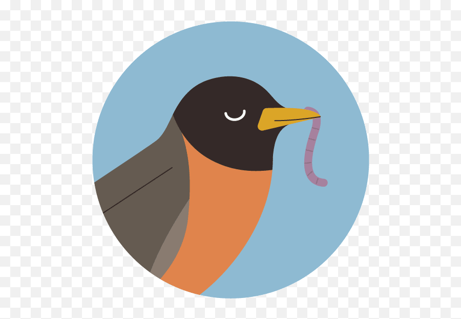 Audubon - Beak Clipart Gif Png,Love Birds Icon