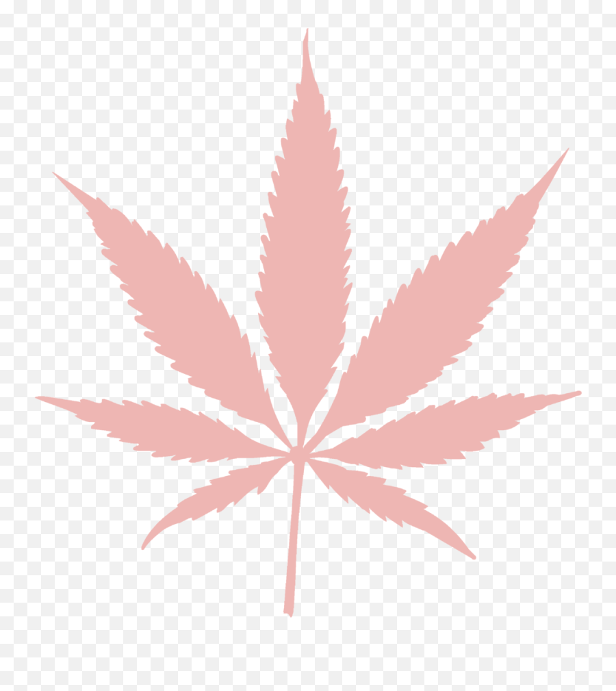 Download Pinkweedy - Cannabis Png,Weed Leaf Png