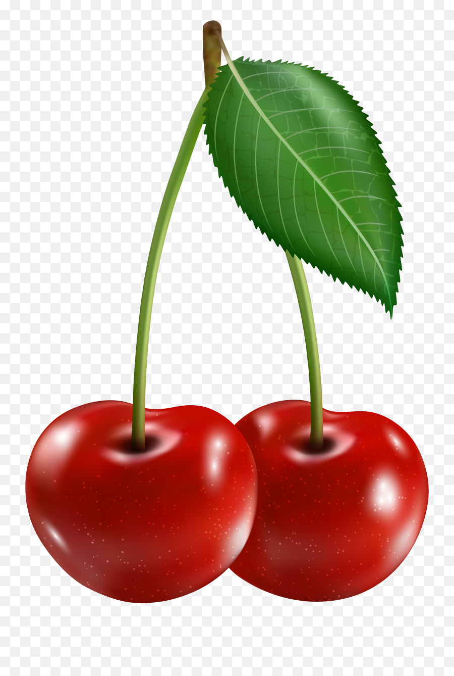 Free Cherry Clipart - Transparent Cherry Clipart Png,Cherries Png