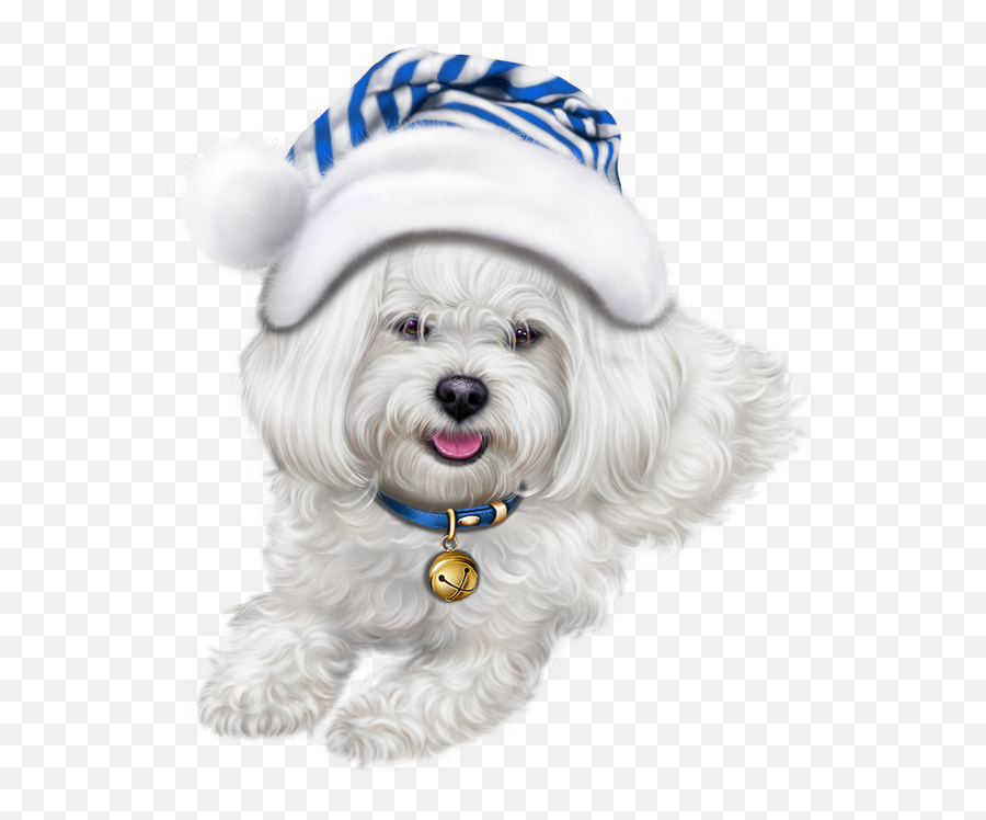 Cute Puppy Png - Transparent Lhasa Apso Clipart Dog Shih Tzu Christmas,Puppy Clipart Png