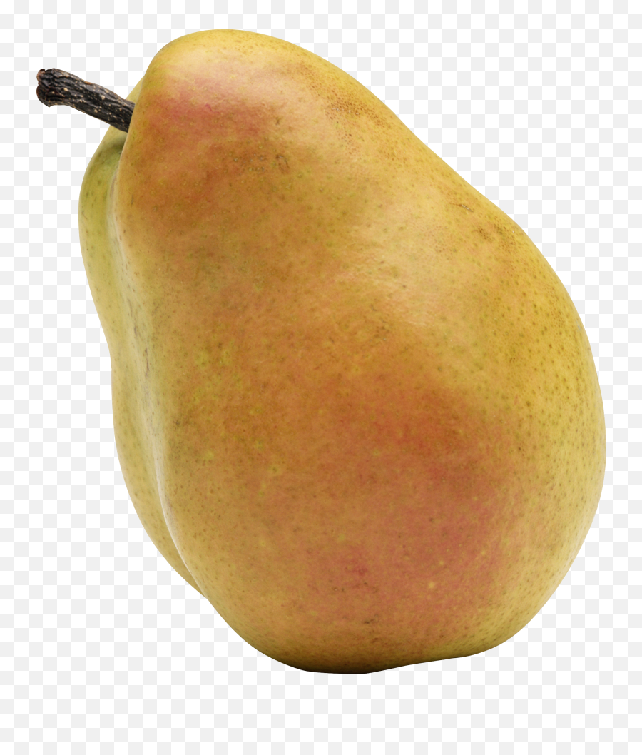 Pear Png Images Free Download - Brown Pear Png,Pear Png