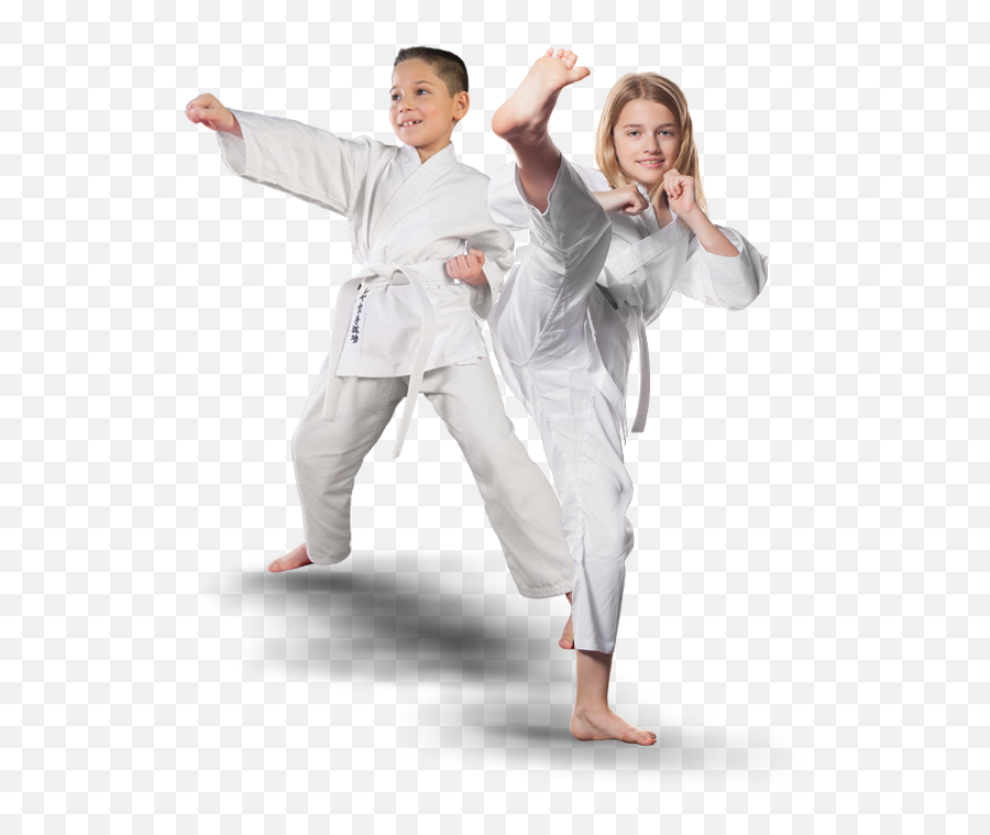 Home Page Optin - Karate Png,Martial Arts Png