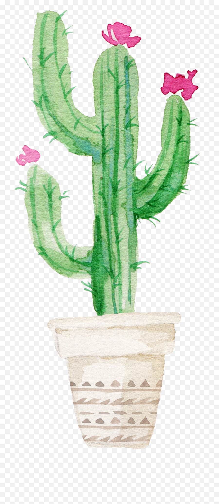 Download Succulent Plant Watercolor Painting - Watercolor Cactus With Flower Drawing Png,Succulent Transparent Background