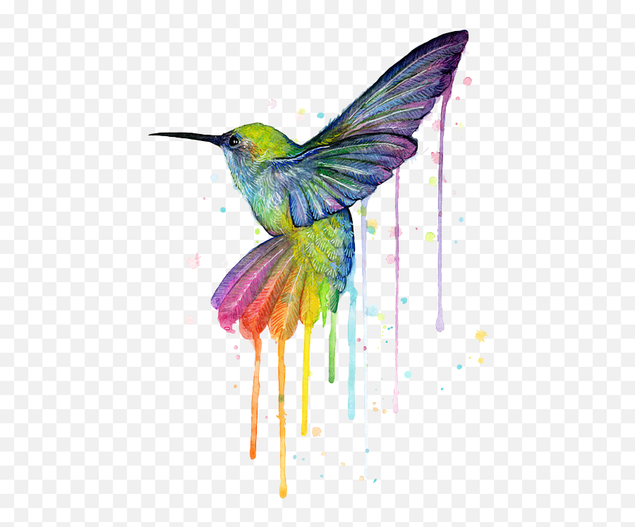 Download Hd Report Abuse - Beautiful Bird Watercolor Painting Png,Hummingbird Transparent Background