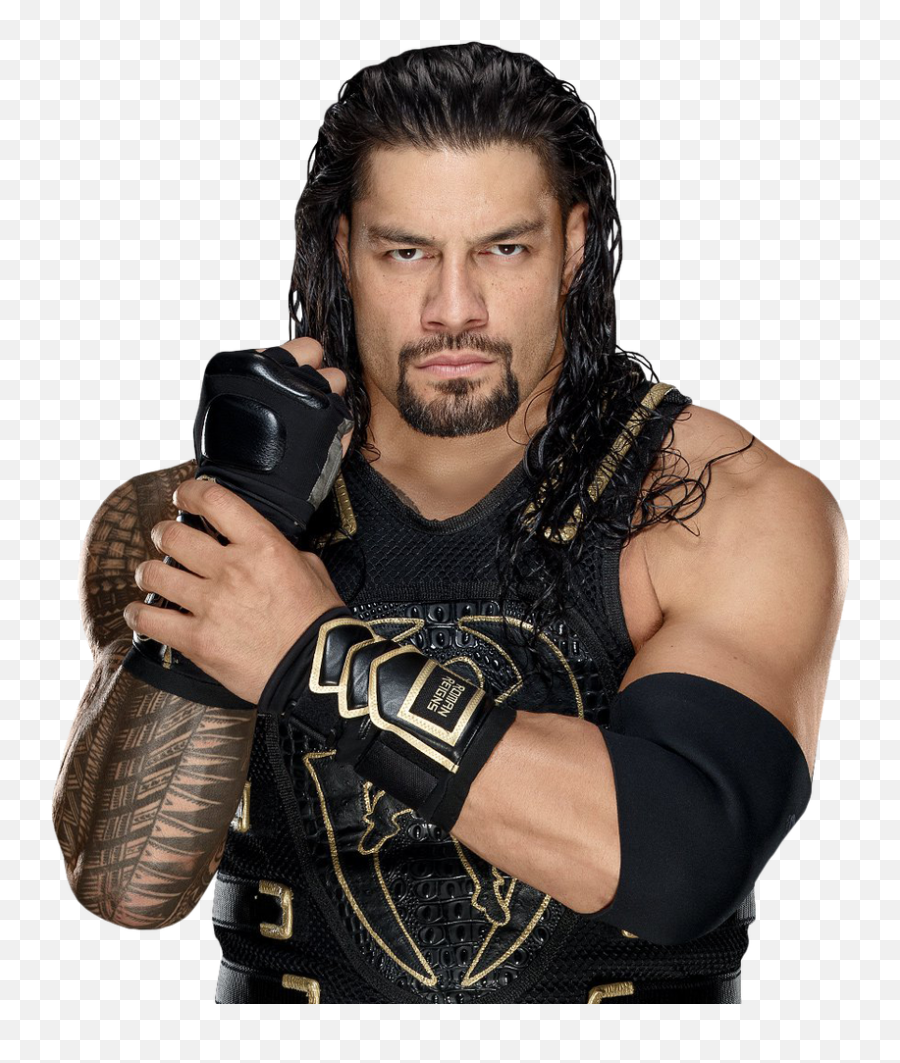 The Big Dog Roman Reigns Png By - Wwe Roman Reigns Poster,Wwe Roman Reigns Png
