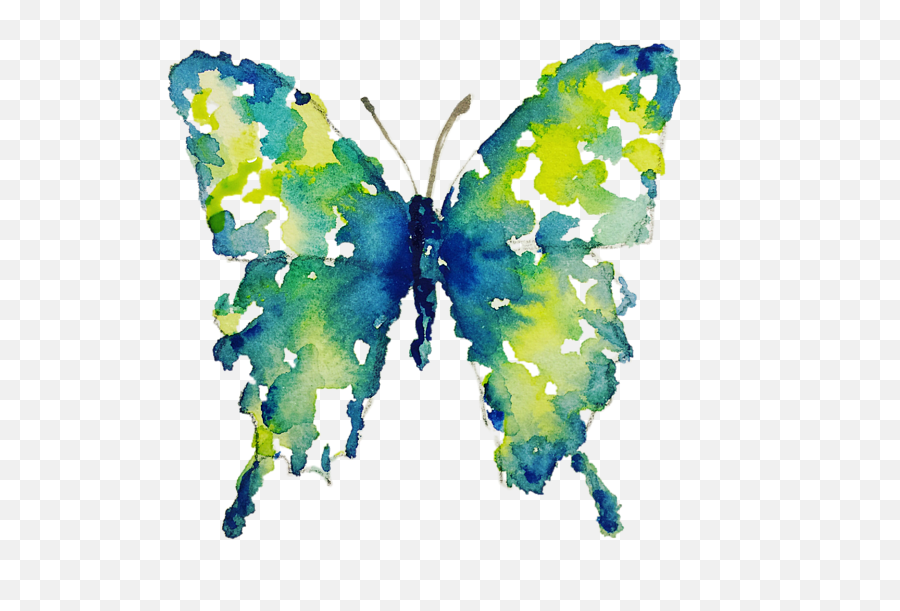 Aqua Watercolor Butterfly Liana Yarckin T - Shirt Watercolor Butterfly Png,Watercolor Butterfly Png