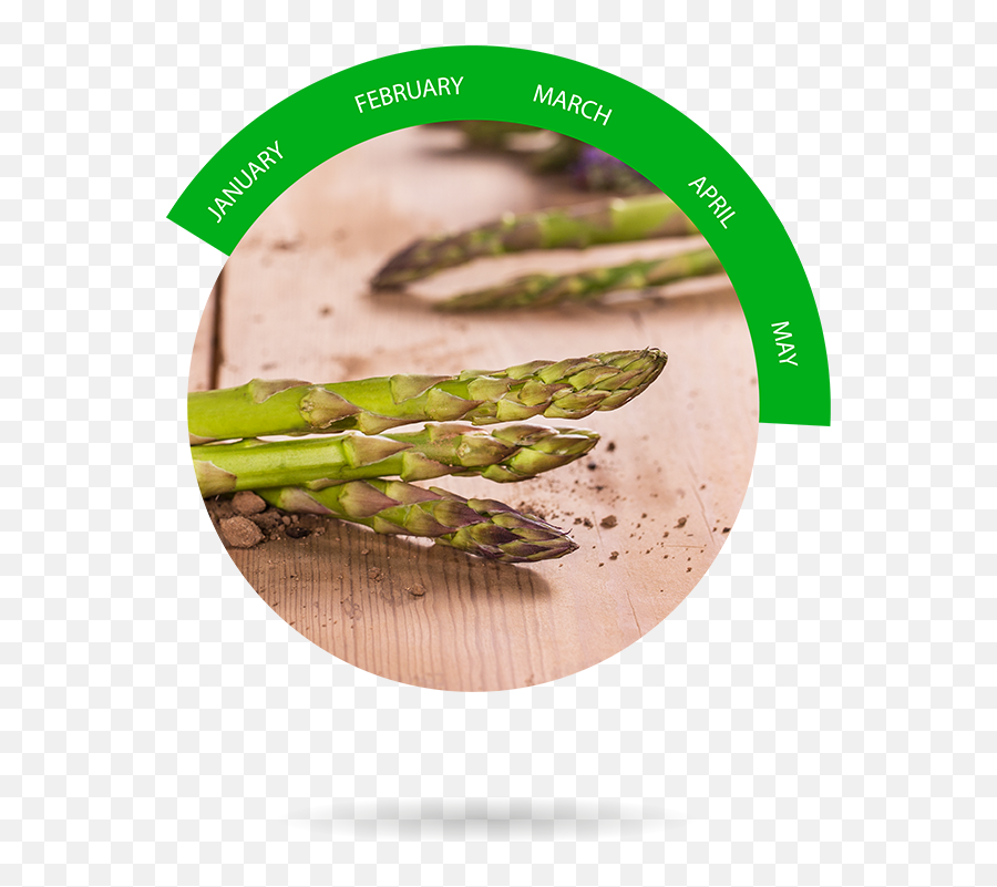 Download Transparent Asparagus Png - Pigeon Pea Png Pigeon Pea,Asparagus Png