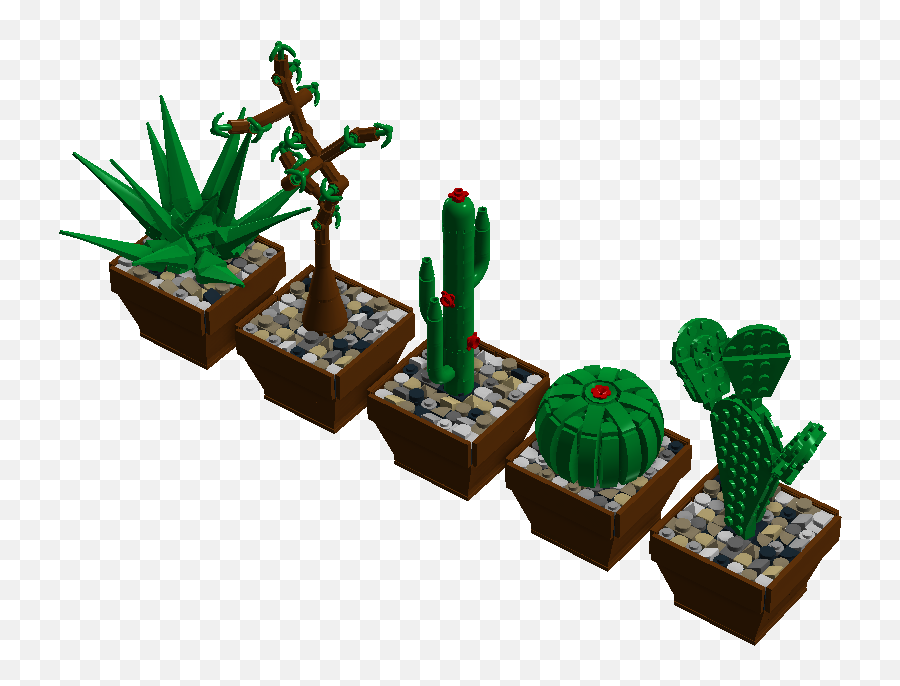 Download Cute Cactae - Houseplant Png,Cute Cactus Png