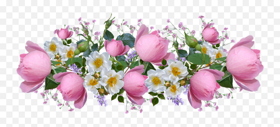 Flowers Roses Pink - Bonito Imagenes De Buenas Noches Tiernas Png,Rosas Png
