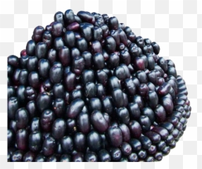 Jamun Java Plum Png Image Mart - Jamun Png,Plum Png