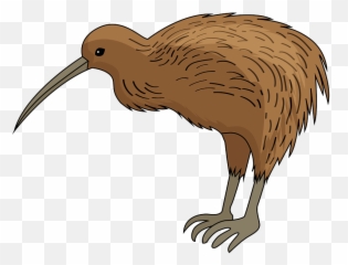Kiwi Bird Clipart Free Download Transparent Png Creazilla - Bird Clipart