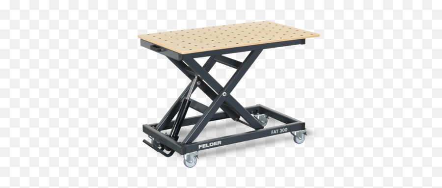 Fat 300 Working Table - Felder Felder Fat 300 Preis Png,Outdoor Table Png