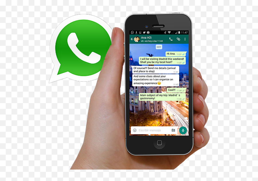 Download Hand Mobile Whatsapp Photo - Whatsapp Icon Png Sharing,Whatsapp Icon Transparent