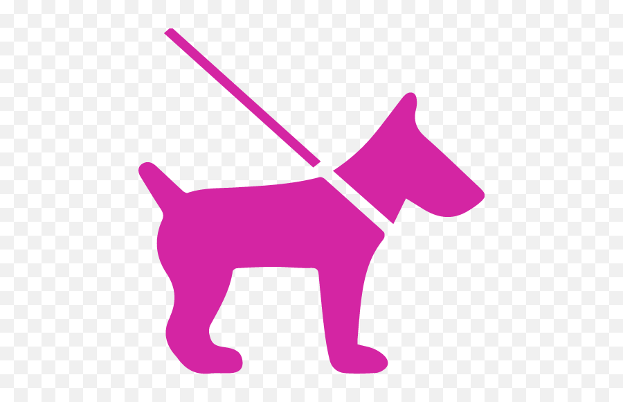 The Perfect Pooch Nyc - Dog Walking Icon Png,Dog Walking Png