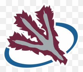 Just Finished A Combination Colorado - Automotive Decal Png,Colorado Avalanche Logo Png