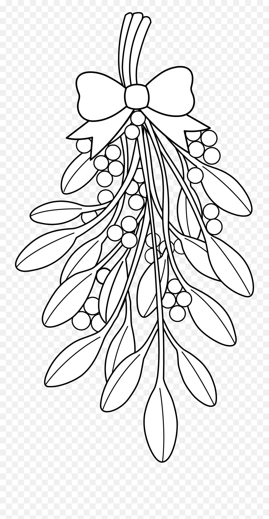 Mistletoe Drawing Transparent Png Image - Mistletoe Coloring Pages,Mistle Toe Png