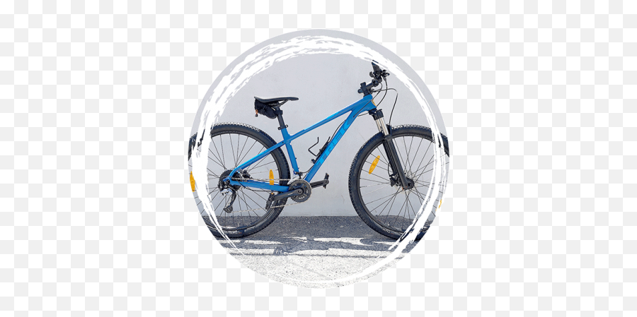 Bike Rental Great Selection Good Prices Riders Surf U0027n - Town Hall Png,Mountain Bike Icon