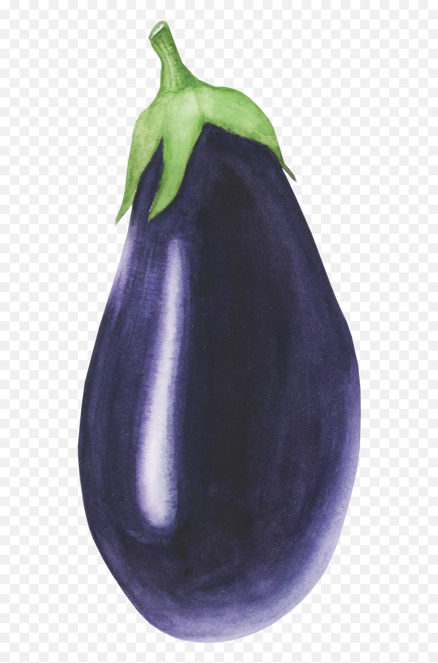 Eggplant - Sticker By Elizabeth Eggplant Png,Eggplant Transparent