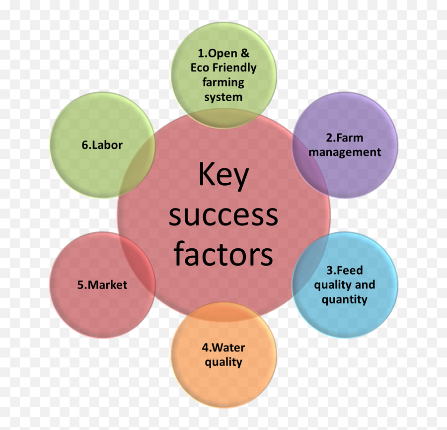 Download Key Success Factors - Key Factors Of Market Success Png,Success Factors Icon