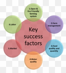 Download Key Success Factors - Of Market png