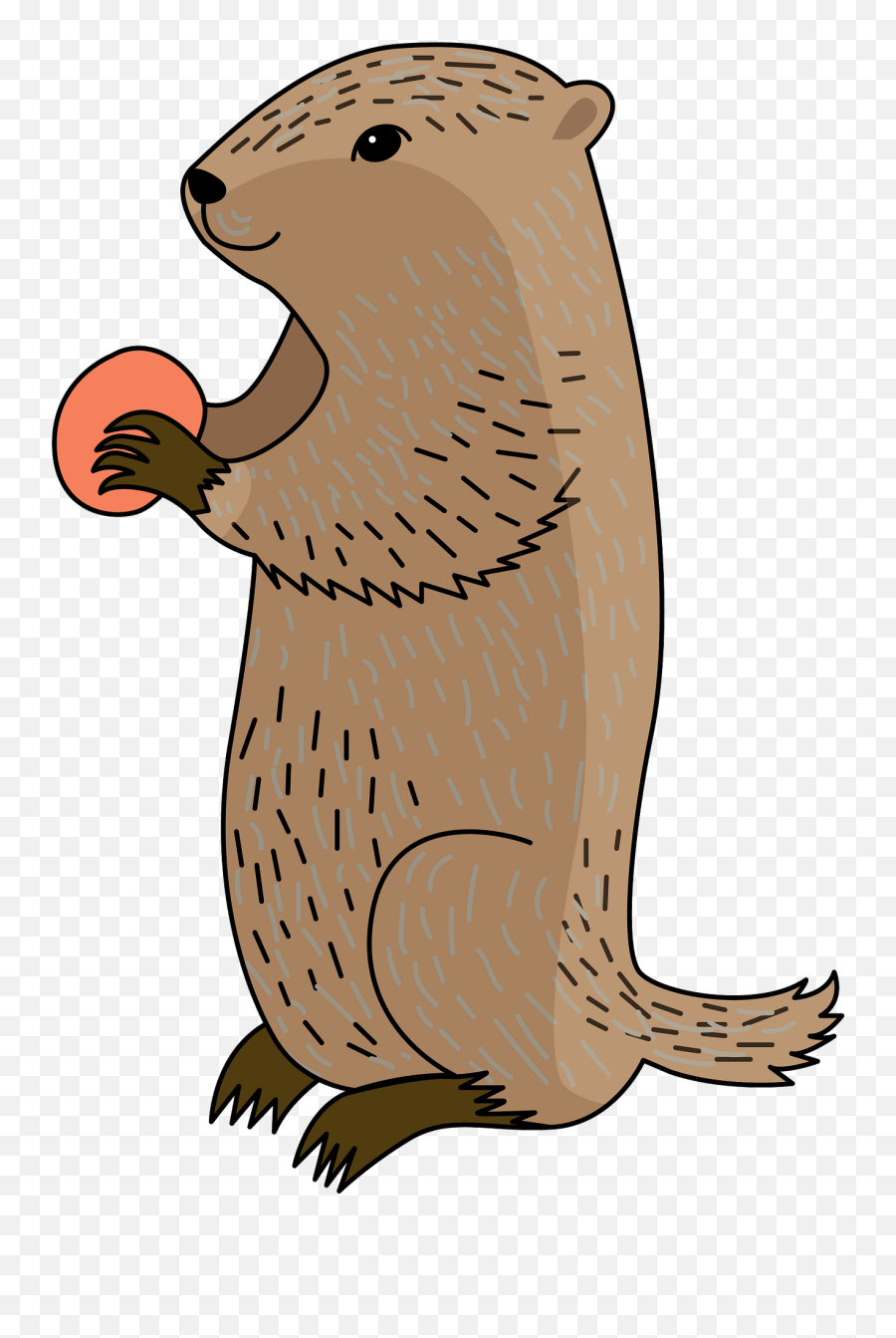 Groundhog Clipart Free Download Transparent Png Creazilla - Punxsutawney Phil Clipart,Groundhog Icon