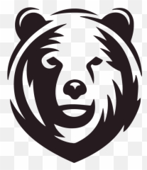 Bear Solutions Inc - Intelligence Consulting Dr James Robb Md Fcap png