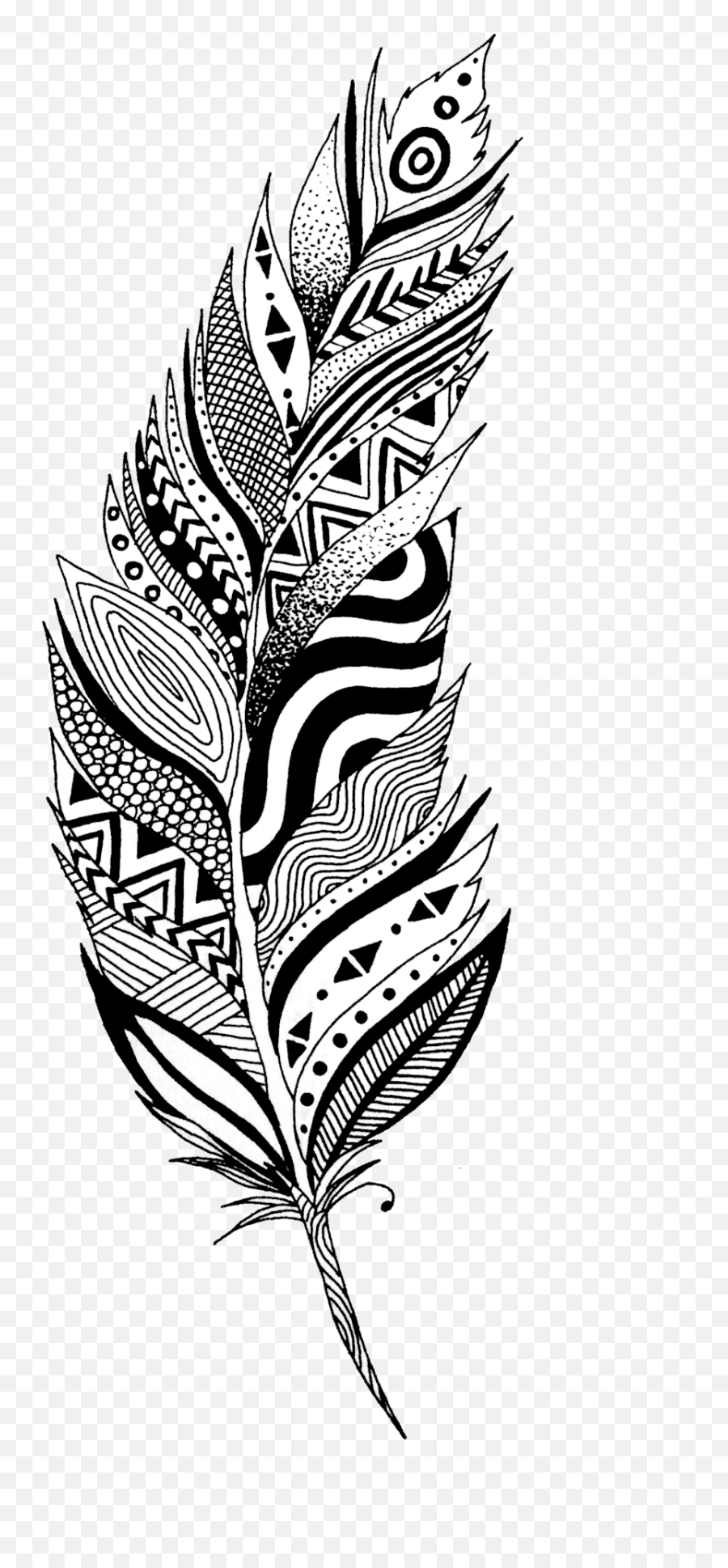 Feather Png Transparent Image Arts - Black And White Feather Drawing,Feather Transparent Background
