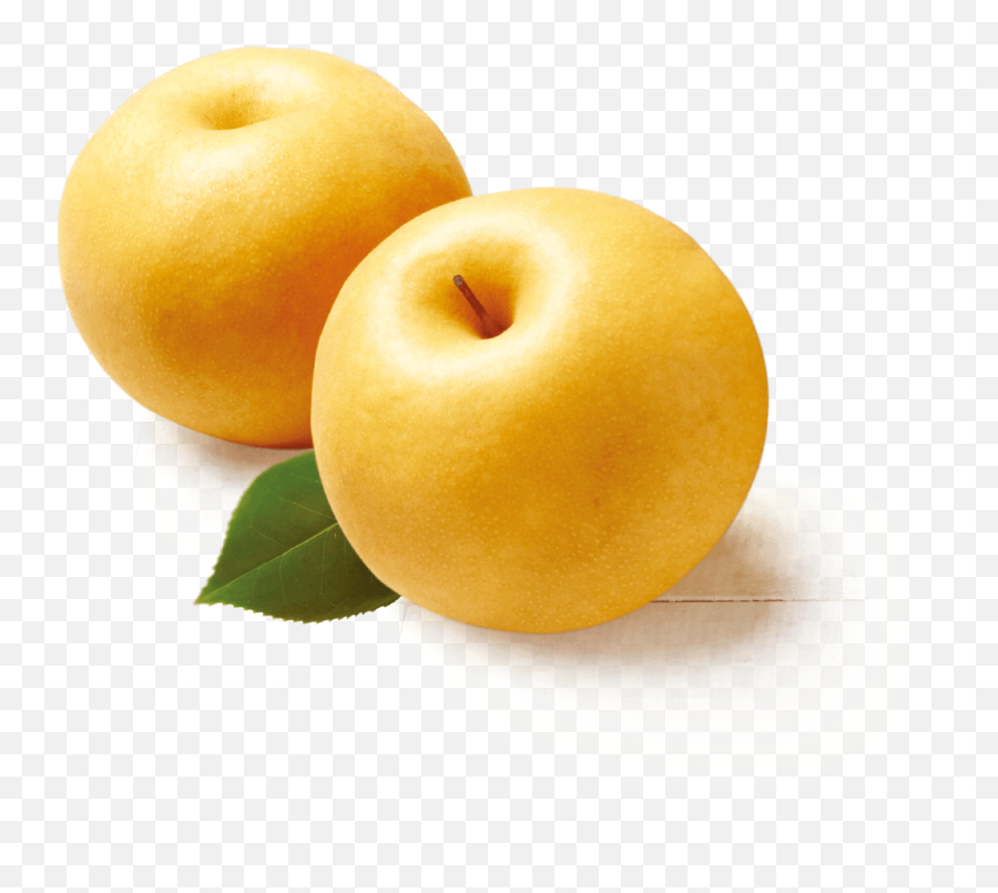 Download Asian Pear Png Image With - Asian Pear Png,Pear Png
