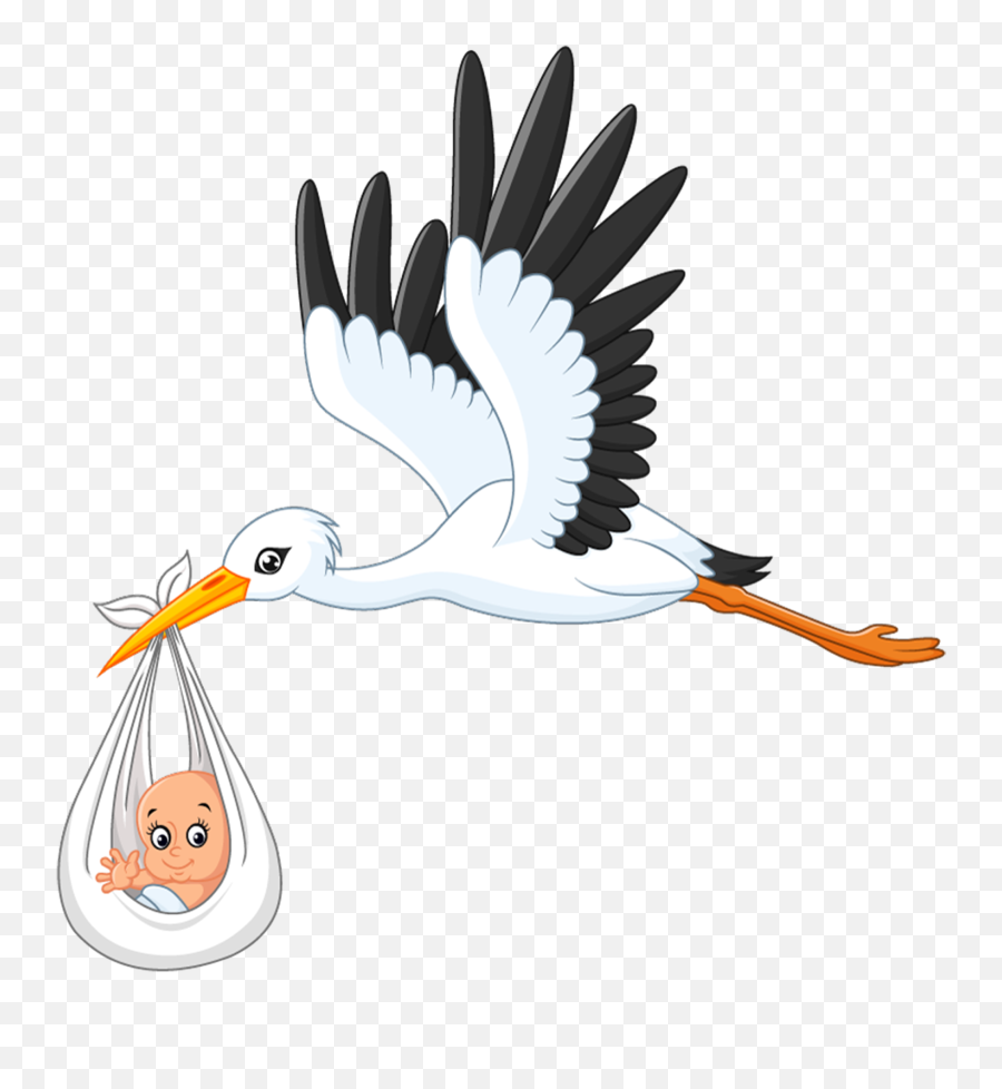 White Stork Infant Clip Art - Transparent Baby Stork Clipart Png,Stork Png