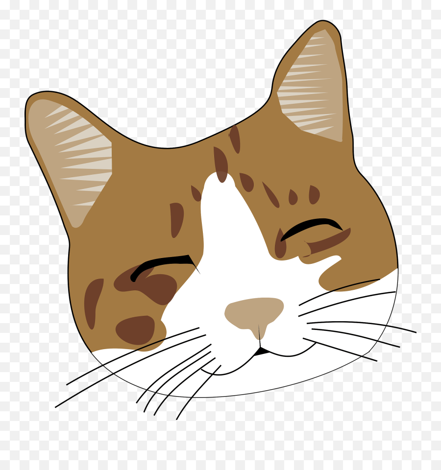 Cat Face Cute Happy Smiling Kitty - Cat Head Clipart Png,Cute Face Png