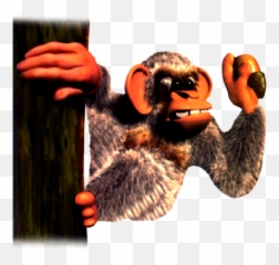 Download Diddy Kong And Dixie Costume - Donkey Kong 3 Minky Kong Png,Funky Kong Png