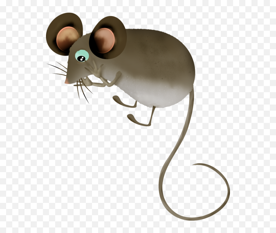 Mouse Animal Png - Mouse Tubes Png Rat 608788 Vippng Rat,Rat Png