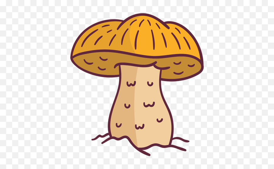 Caesar Mushroom Fungus Illustration - Transparent Png U0026 Svg Wild Mushroom,Mushroom Transparent