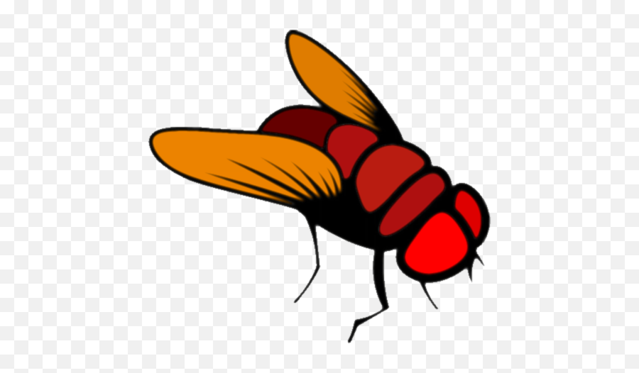 Fruit Fly Cartoon Png Image - House Fly Png Cartoon,Fly Transparent Background