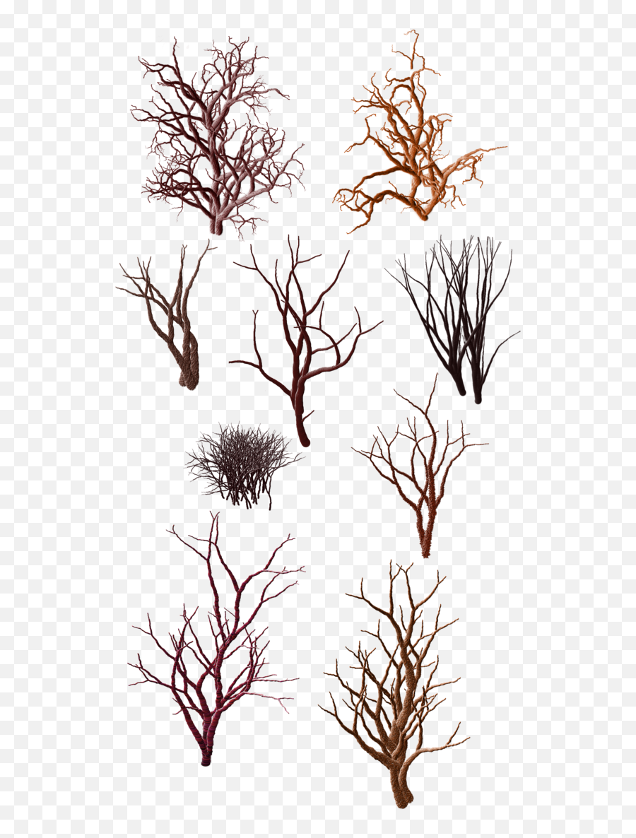 Download Dry Grass Clipart Desert Shrub - Png Tree In Desert Architechture Drawing Plant Png,Shrub Transparent Background