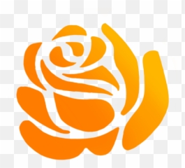 Our Viv Does The 2019 Colorado Tough Mudder 5k - Anrp Logo Png,Tough Mudder Logos