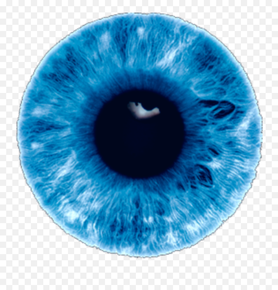 Blue Eyes Png - Eye Color Lens Png,Blue Eye Png