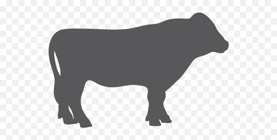 Download Grey Cow Icon Png Image - Animal Figure,Cow Icon