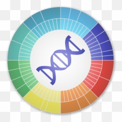 My Faulty Gene U2013 Genetic Testing Saves Lives - Iphone Face Scan png
