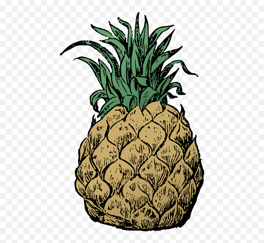 Hawaii Clipart Hawaiian Pineapple - Pineapple Transparent Pineapple Basic Png,Pineapple Transparent