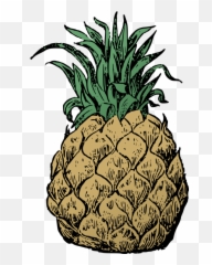 Hawaii Clipart Hawaiian Pineapple - Pineapple Transparent Pineapple Basic Png,Pineapple Transparent