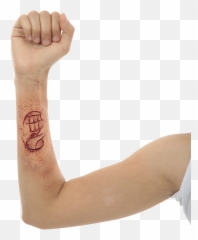 Appliance - Greed Flesh Png,Greed Png