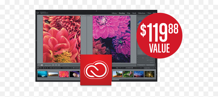 Adobe Creative Cloud Canon Online Store - Display Png,Adobe Marketing Cloud Icon
