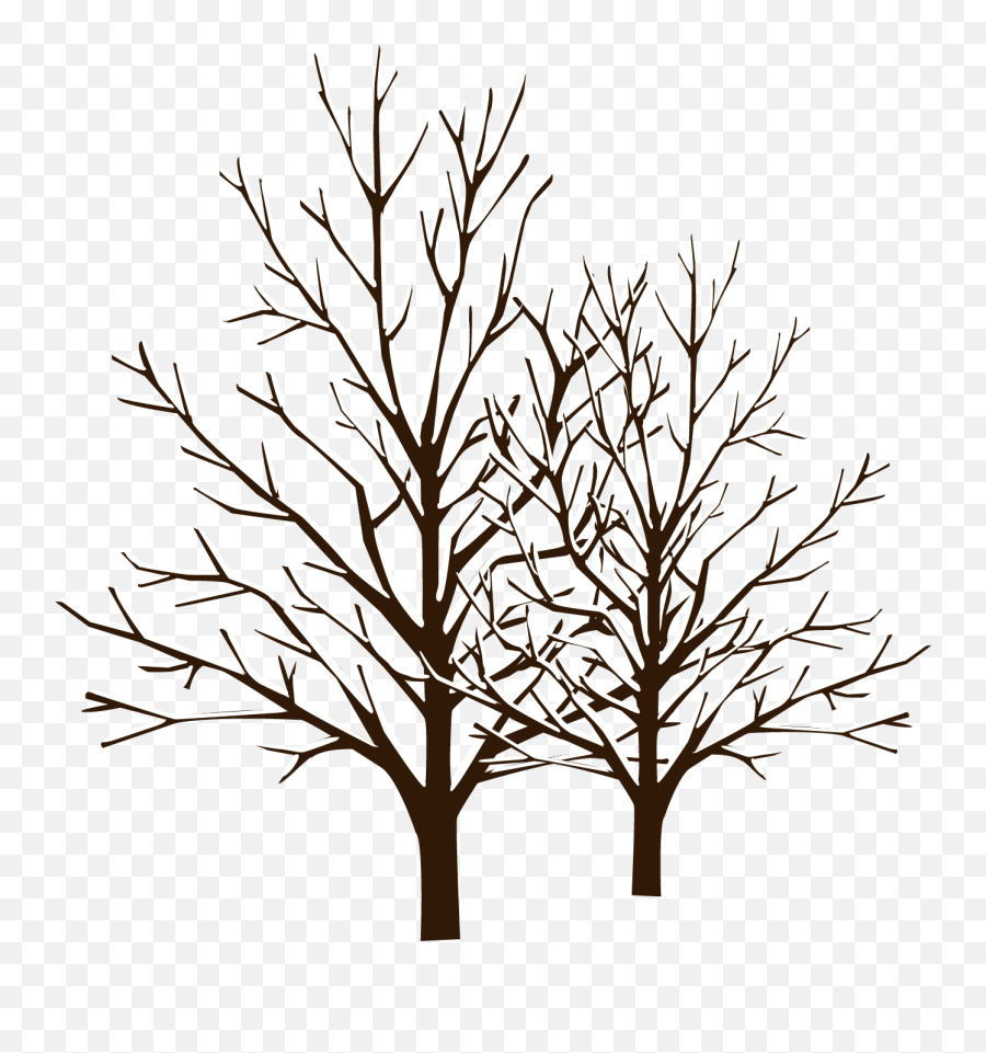 Snow Winter Tree - Winter Tree Png Vector,Snowy Trees Png