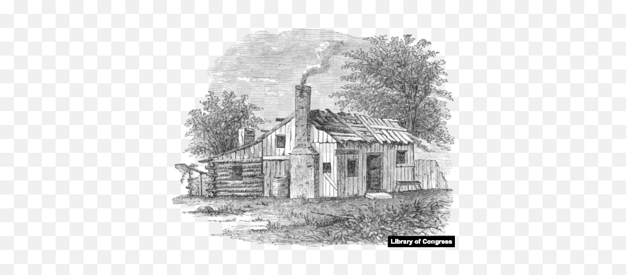 Andrew Jackson Lovedhated - Andrew Jackson Small House Png,Despised Icon New Era Hat