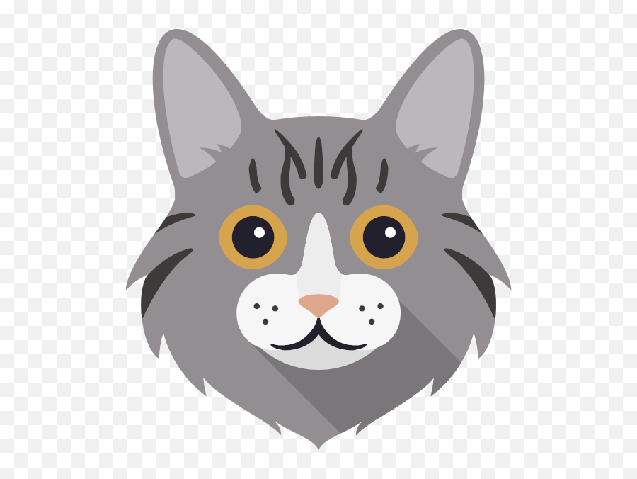 Favorite Humanu0027 - Personalized Cat Card Yappycom Cat Png,Kai Icon