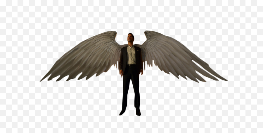 Lucifer Morning Star With Wings Png - Lucifer Morningstar Action Figure,Lucifer Png