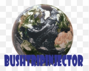 Bushtripinjector Microsoft Flight Simulator - Language png